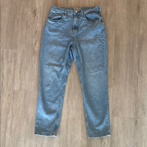 Everlane Highrise Straight Jeans